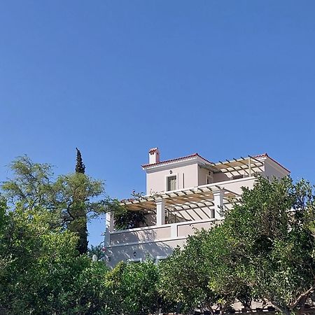 Saint Louis Aparthotel Ándros Buitenkant foto